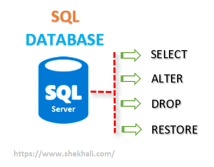 SQL server database