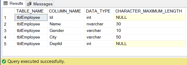 image information schema view in SQL result